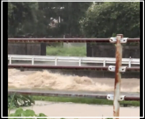 【氾濫】熊本県南関町「関川」が氾濫！現在の被害状況まとめ！